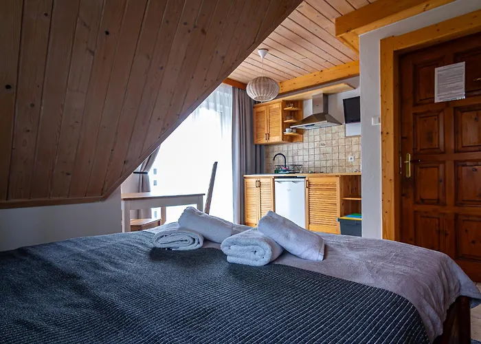 Pod Nosalem Lejlighedshotel Zakopane