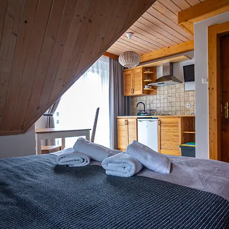 Pod Nosalem Apart-hotel Zakopane
