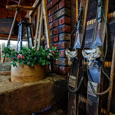 מלון דירות Pod Nosalem