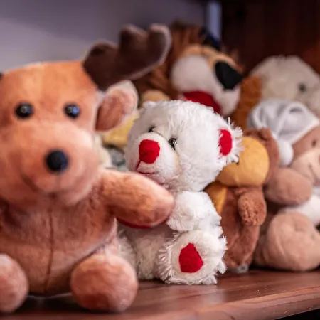 מלון דירות Pod Nosalem זקופאנה