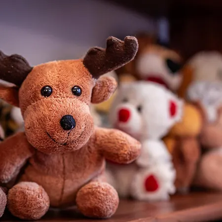 מלון דירות Pod Nosalem